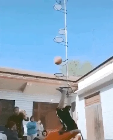 Basketball Funny Sports GIF - Find &amp; Share on GIPHY