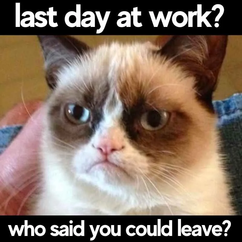 Grumpy Cat meme, text “last day at work? who said you could leave?”