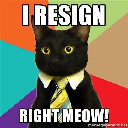 Business Cat meme: a black cat wearing a tie, text “I resign right meow!”