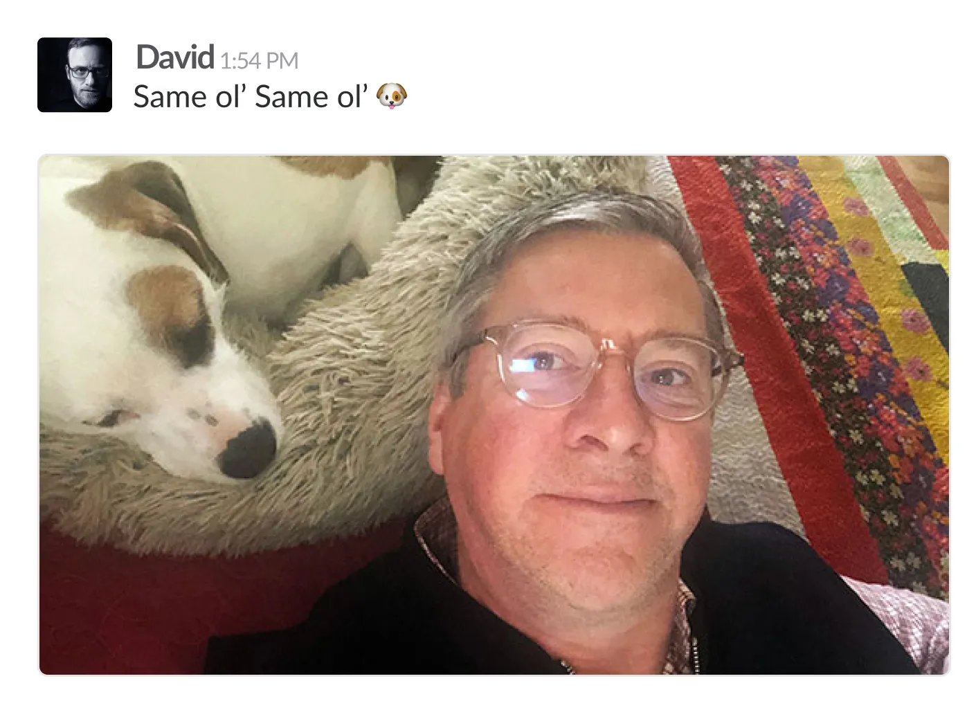 David replying with a photo of himself and his dog