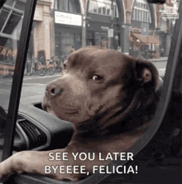 Animated gif from the movie Friday, captioned “Bye Felicia”