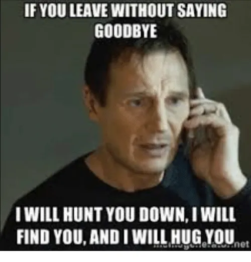 Liam Neeson on the phone in Taken, text “If you leave without saying goodbye I will hunt you down, I will find you, and I will hug you”