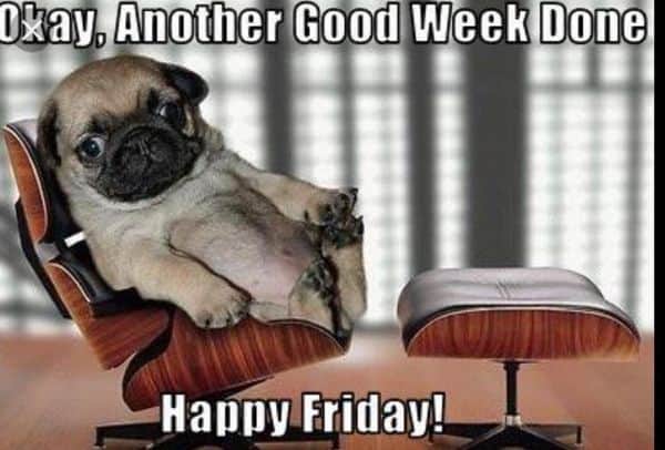pug Happy Friday Meme