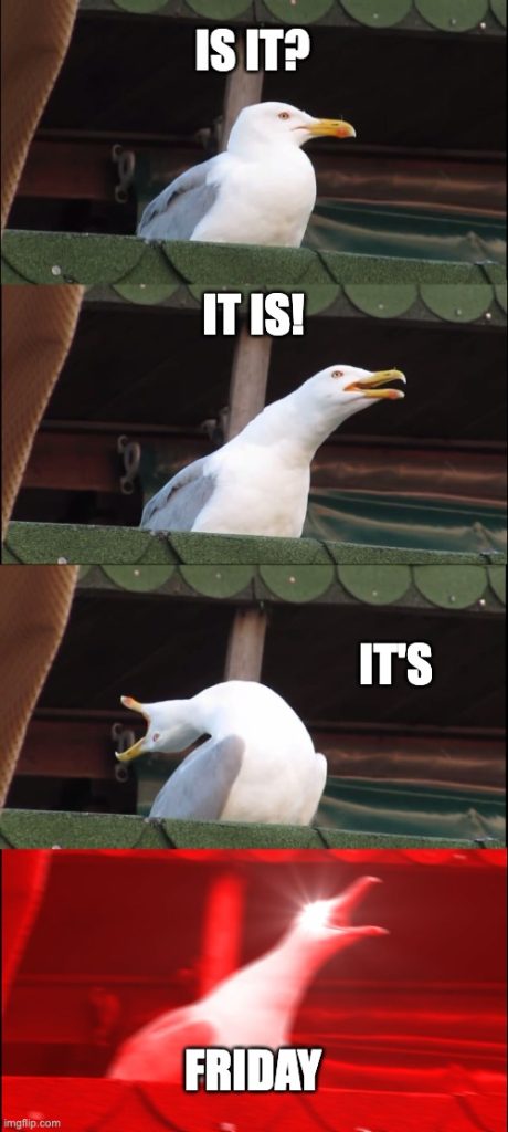 seagull Happy Friday Meme